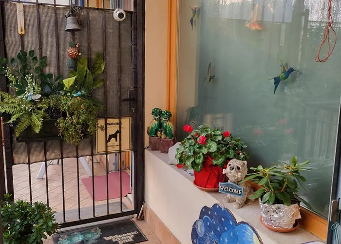 B&B Bondi